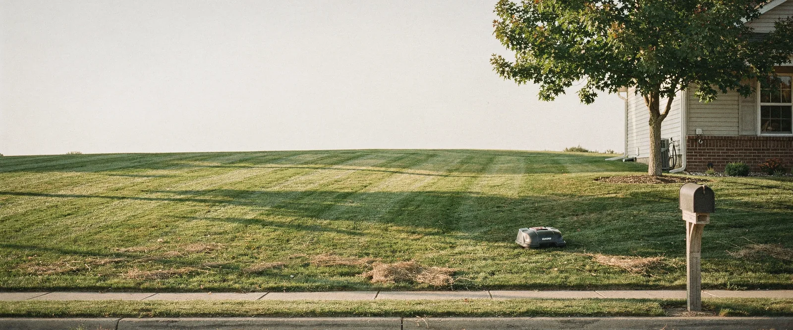 Freshly mown quarter-acre front lawn in September with diagonal stripes, a ranch house on the right, a sidewalk and mailbox along the bottom and a pale evening sky, generated illustration
