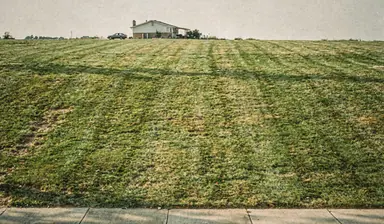 Dead-level front lawn with mown stripes converging toward a sidewalk and the street, generated illustration