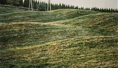 Large back lawn with gentle rolling swells and mown stripes bending over each hump in low evening sun, generated illustration