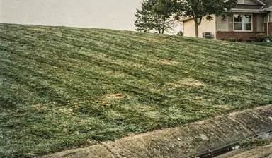Steep grass slope rising from a roadside ditch toward a house set high above, mown in horizontal passes, generated illustration