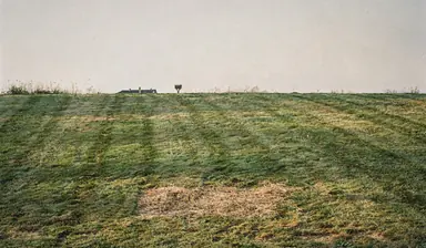 Mown lawn under a completely open pale evening sky with no trees or wires, seen from just above the grass, generated illustration
