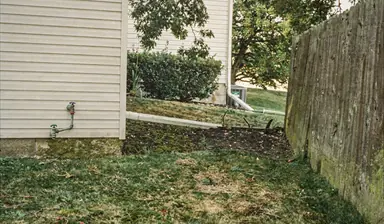 Thin patchy grass in a narrow shaded strip between a house wall and a tall fence under a closed oak canopy, generated illustration