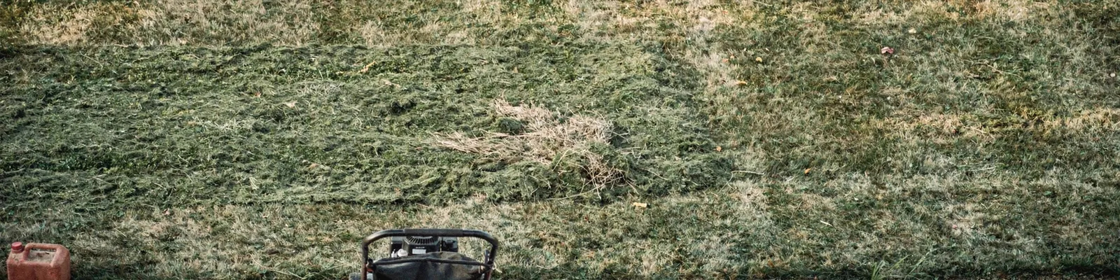 Plain dark-grey gas walk-behind mower seen from behind at the edge of a driveway, half a pass cut into tall late-summer grass, generated illustration