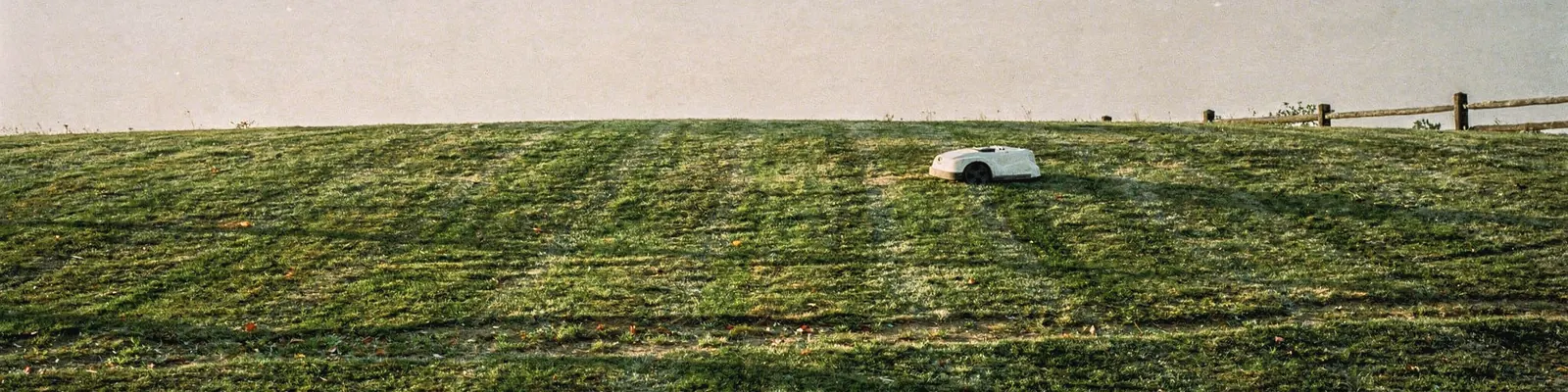 Wide open back lawn with no trees under a large pale evening sky, a split-rail fence at the far edge, generated illustration